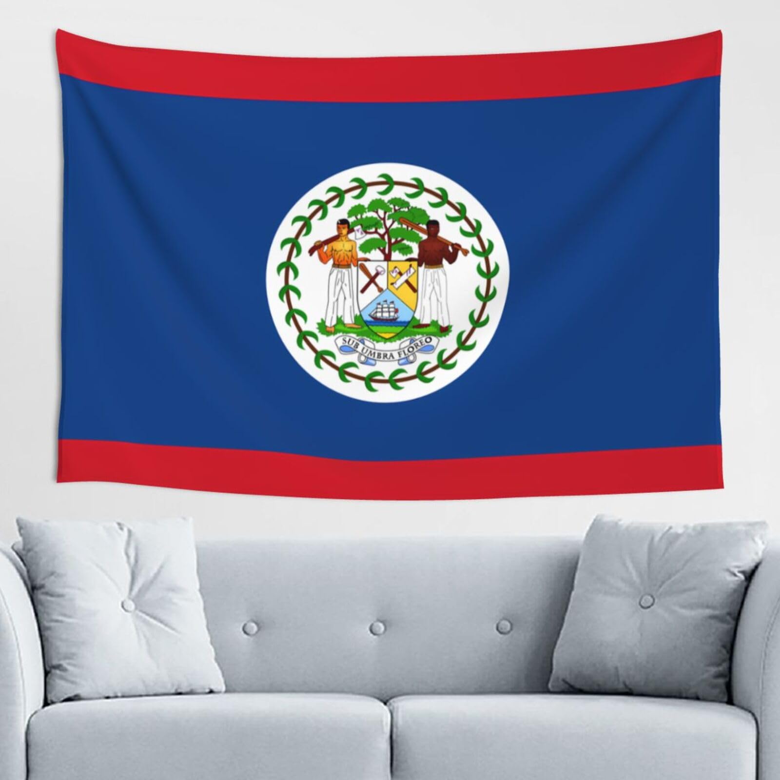 ZZYYDS Belize Flag Wall Decor Tapestry 60x40in, Wall Hanging, Home Decor, Dorm Decor, Porch Tapestry, etc.