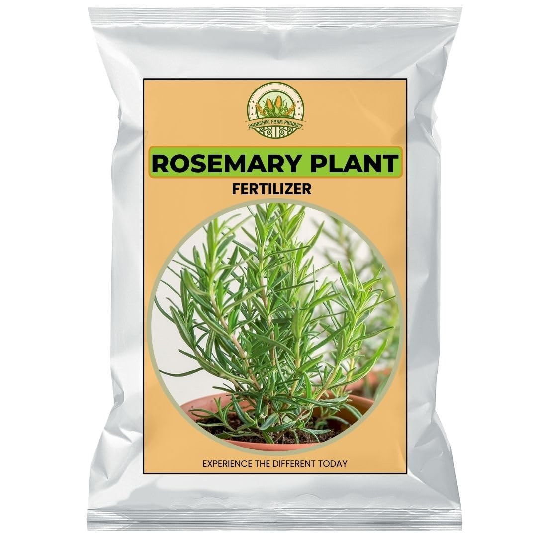 Rosemary Plant Fertilizer | Herbs and medicine Plant for Home and Garden Organic Plant for Foods |Table, Bedroom & Office Home Decoration | House Warming | Sign of Luck (B0D9T9C41Q) Amazon Price History, Amazon Price Tracker