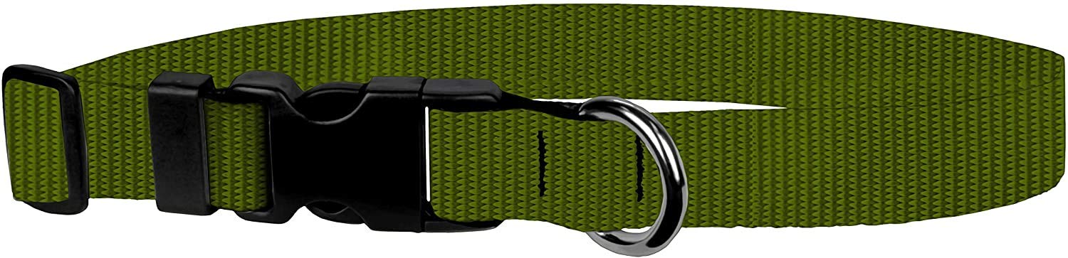 Dog Collar - Colored Adjustable Pet Collars, 3/4 Inch Wide, Small, Olive Drab