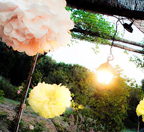 Fascola 18 Pcs White Baby Hanging Paper Lantern Paper Honeycomb Ball Pom Pom Flower Ball Tassel Garland for Wedding Birthday Kids Party Decor Set (White and Baby Blue)