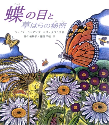 蝶の目と草はらの秘密