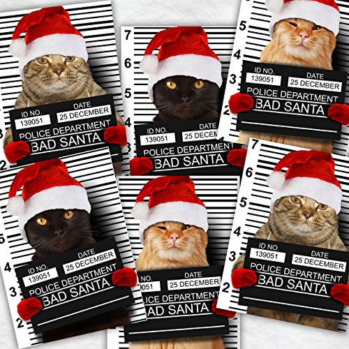 Purrpetrator Santa Cats Holiday Card Assortment Pack / 24 Christmas Cats Greeting Cards And Envelopes / 3 Bad Santa Kitten Designs With Message Inside #TOP5