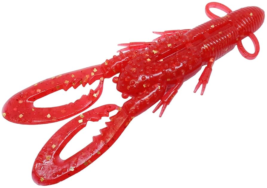 エクリプス　エイガード Amazon | エクリプス(ECLIPSE) サバイバルフィート Lサイズ