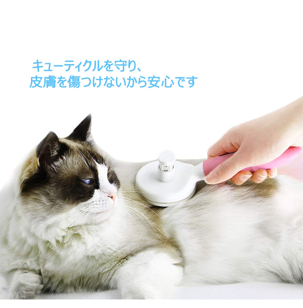 Amazon | ペット スリッカーブラシ 毛取り 犬 猫用 ブラッシング 小型