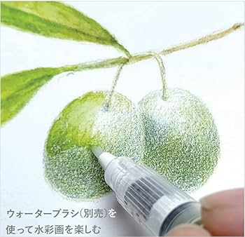 Amazon | ステッドラー(STAEDTLER)カラトアクェレル水彩色鉛筆