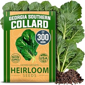 HOME GROWN Collard Greens Georgia S...