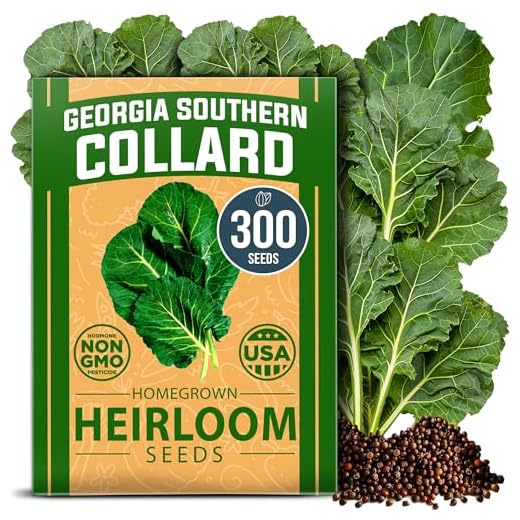 HOME GROWN Collard Greens Georgia Southern 300+ Heirloom Non GMO Seeds for Planting, High Germination, Heat & Cold Tolerant, Slow to Bolt, Nutritious Leafy Greens, Southern Cooking (Brassica oleracea)