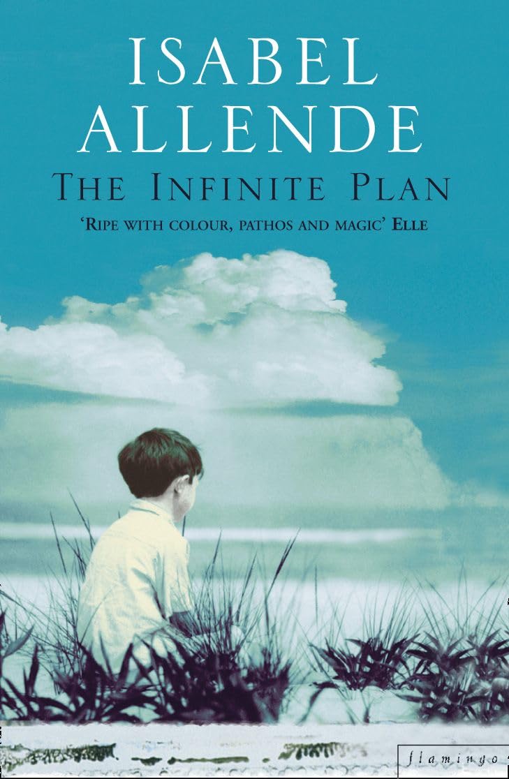 THE INFINITE PLAN: A Powerful Contemporary Saga of Hispanic Culture and the Pursuit of the American Dream
