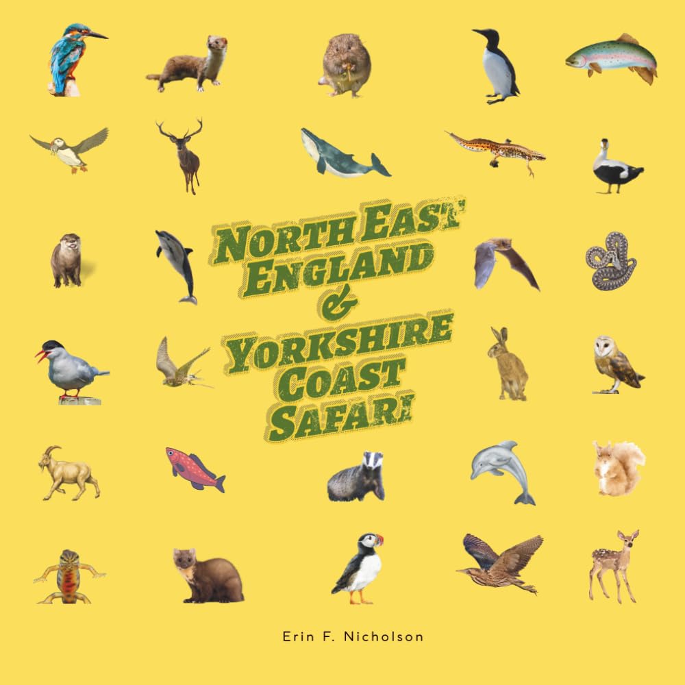 North East England & Yorkshire Coast Safari