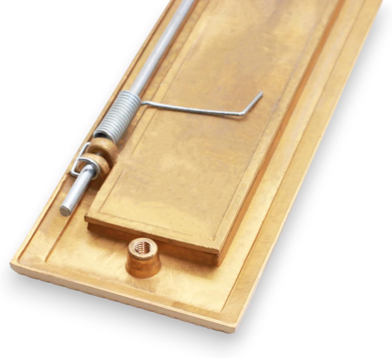 Infinity Decor 10” Solid Brass Georgian Rope Design Sprung Letter Plate in Satin Brass Ideal for Front Door