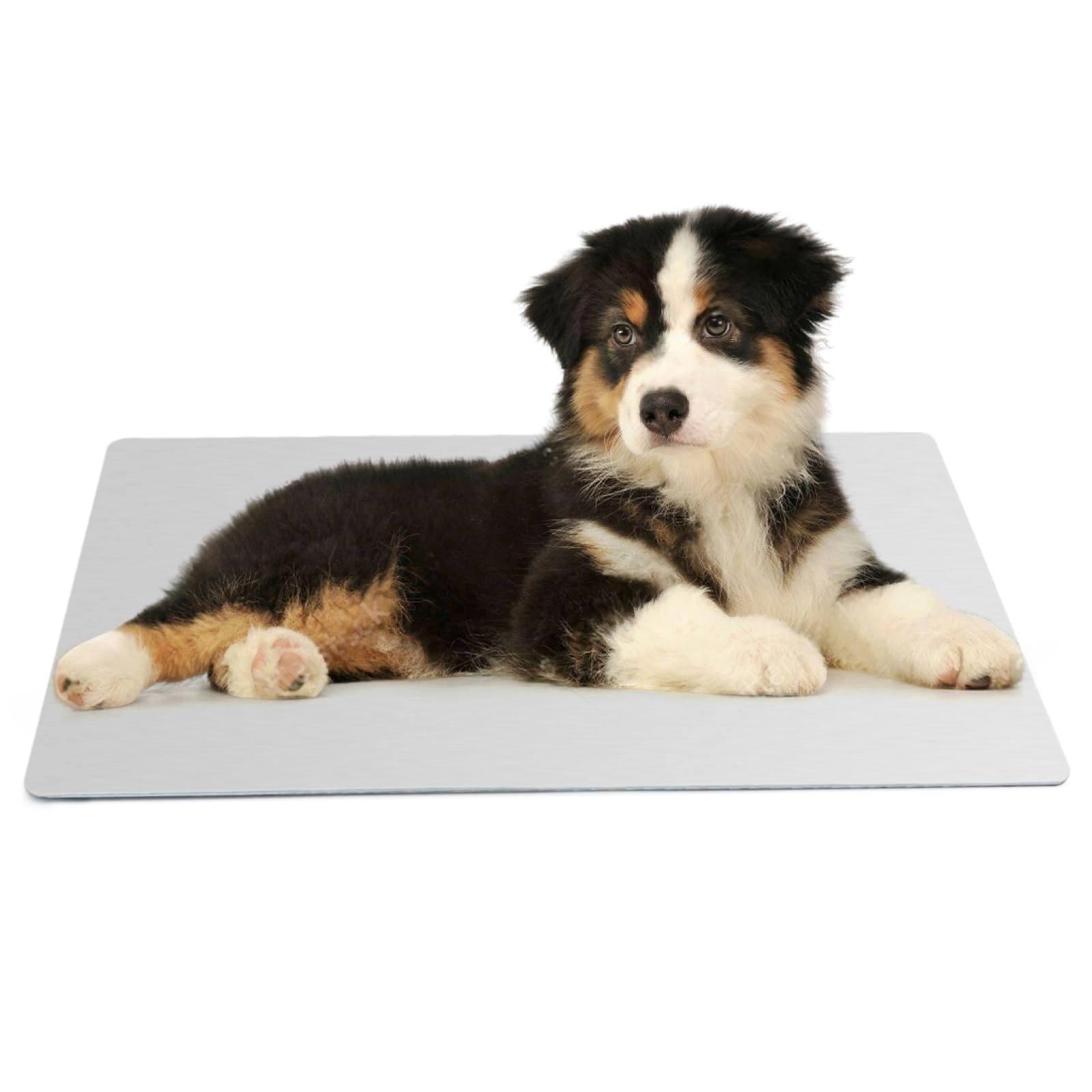 MARUNDA 犬用ひんやりプレート 猫涼感マット クール アルミ製 49.8*29.8cm 涼しい 冷感シート 夏グッズ 暑さ対策 熱中症防止 大きいサイズ 大型犬