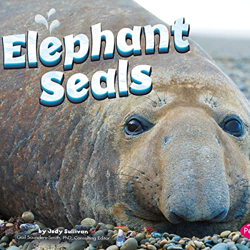 Elephant Seals by Megan C. Peterson episode artwork