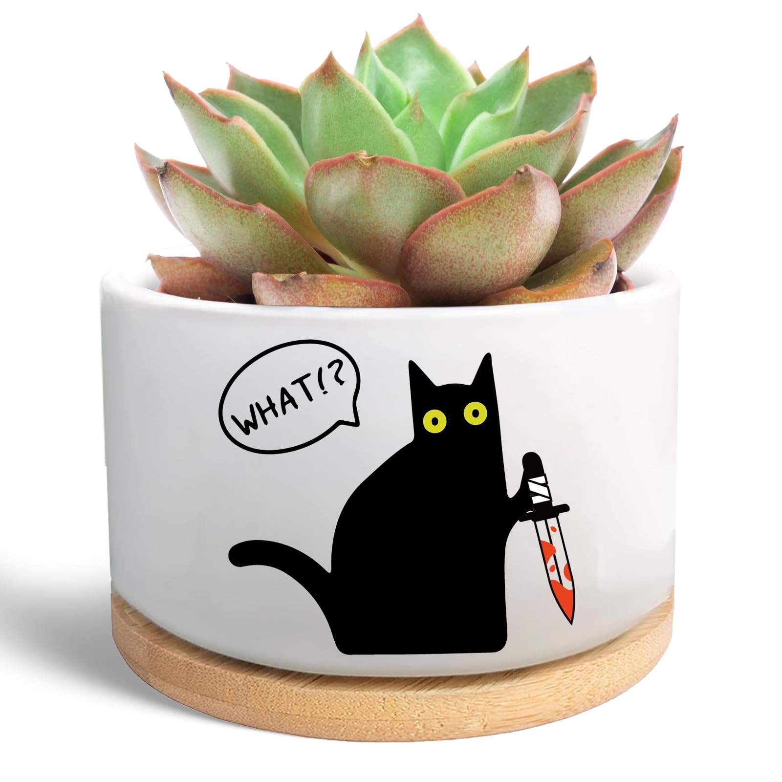 WSLCHOVE Funny Cat Themed Succulent Plant Pot, Ceramic Flower Cactus Planter Cat Lover Gifts, Office Decor for Plant Lover, Gardener Gardening Gifts for Women Friend (Plants Not Included)