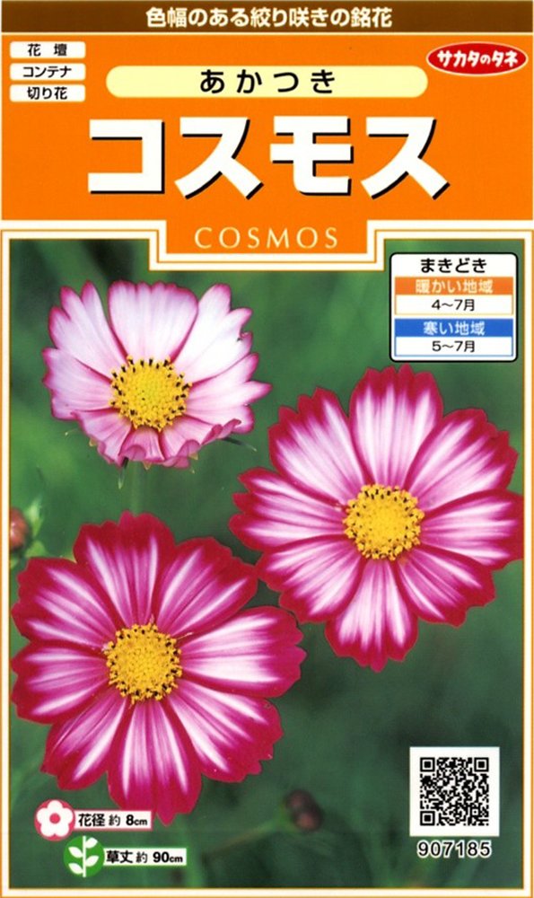 Amazon | サカタのタネ 実咲花7185 コスモス あかつき 00907185 | 花