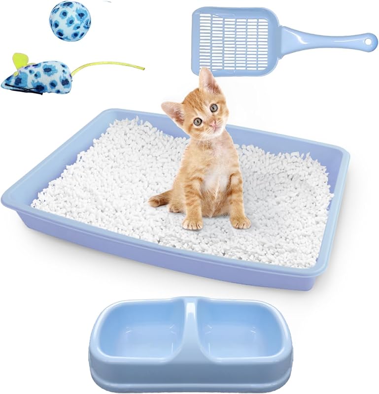 Caixa de Areia para Gatos Pequenos PAWISE com Kit Inicial, Pá, Tigela Dupla e Brinquedos – Azul