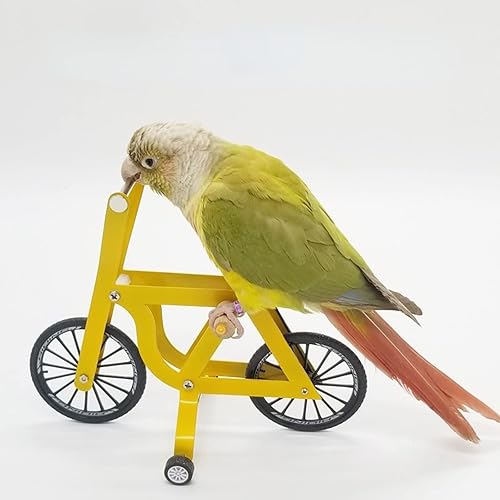 Miniatura 3 de Juguete de entrenamiento de inteligencia de pájaros, rompecabezas de loro, juguete de bicicleta para pájaro pequeño y mediano, juguete educativo de
