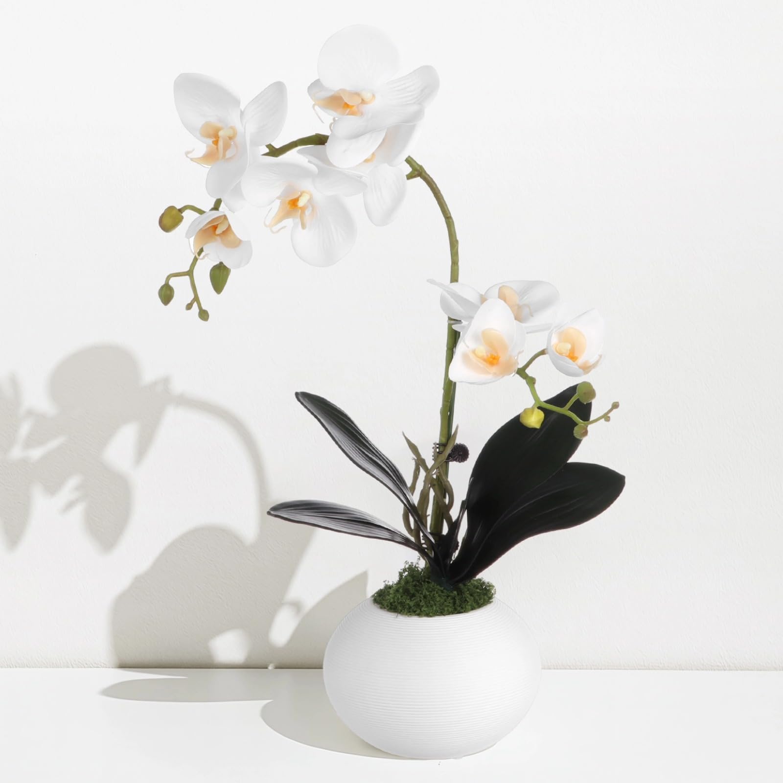 OMISTAR Künstliche Orchideen mit Vase, weiß, fühlt sich echt an, Orchidee, Blumen-Mittelstück, dekorative Phaleanopsis-Orchidee, Bonsai für Zuhause, Büro, Tischdekoration