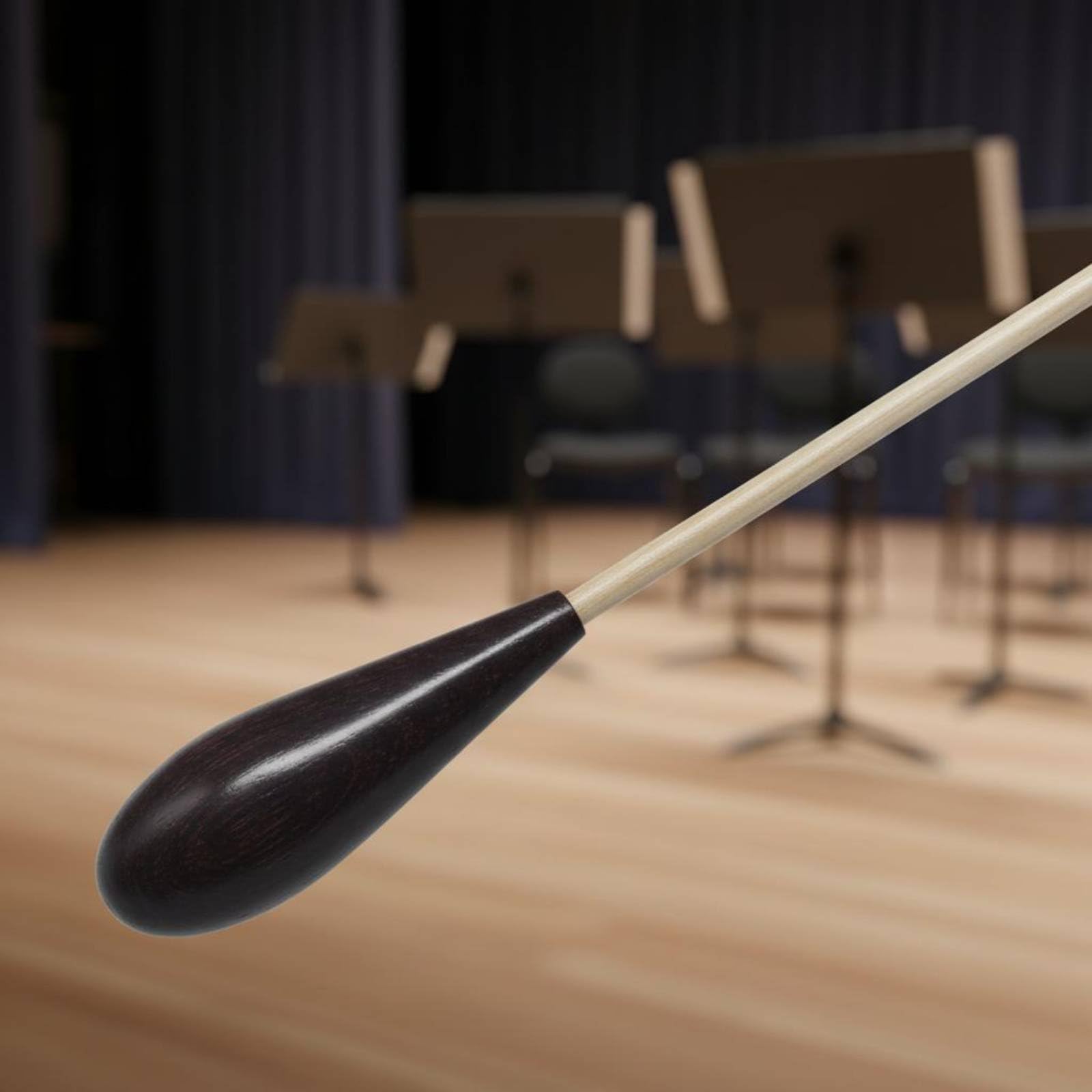 Batuta Director Orquesta Bastón de Dirección para Orquesta Bastón con Mango de Resina