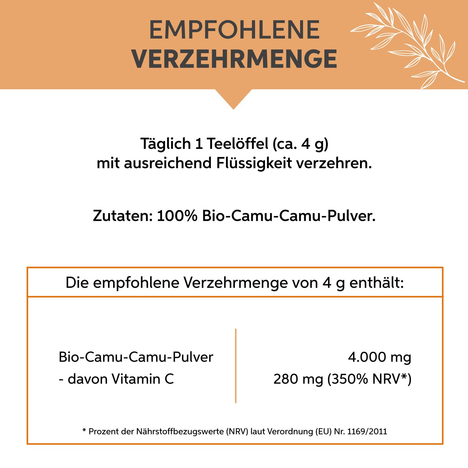 Bio Camu Camu Pulver 1kg hochdosiert mit natürlichem Vitamin C aus Brasilien | 100% ohne Zusatzstoffe in Rohkost-Qualität