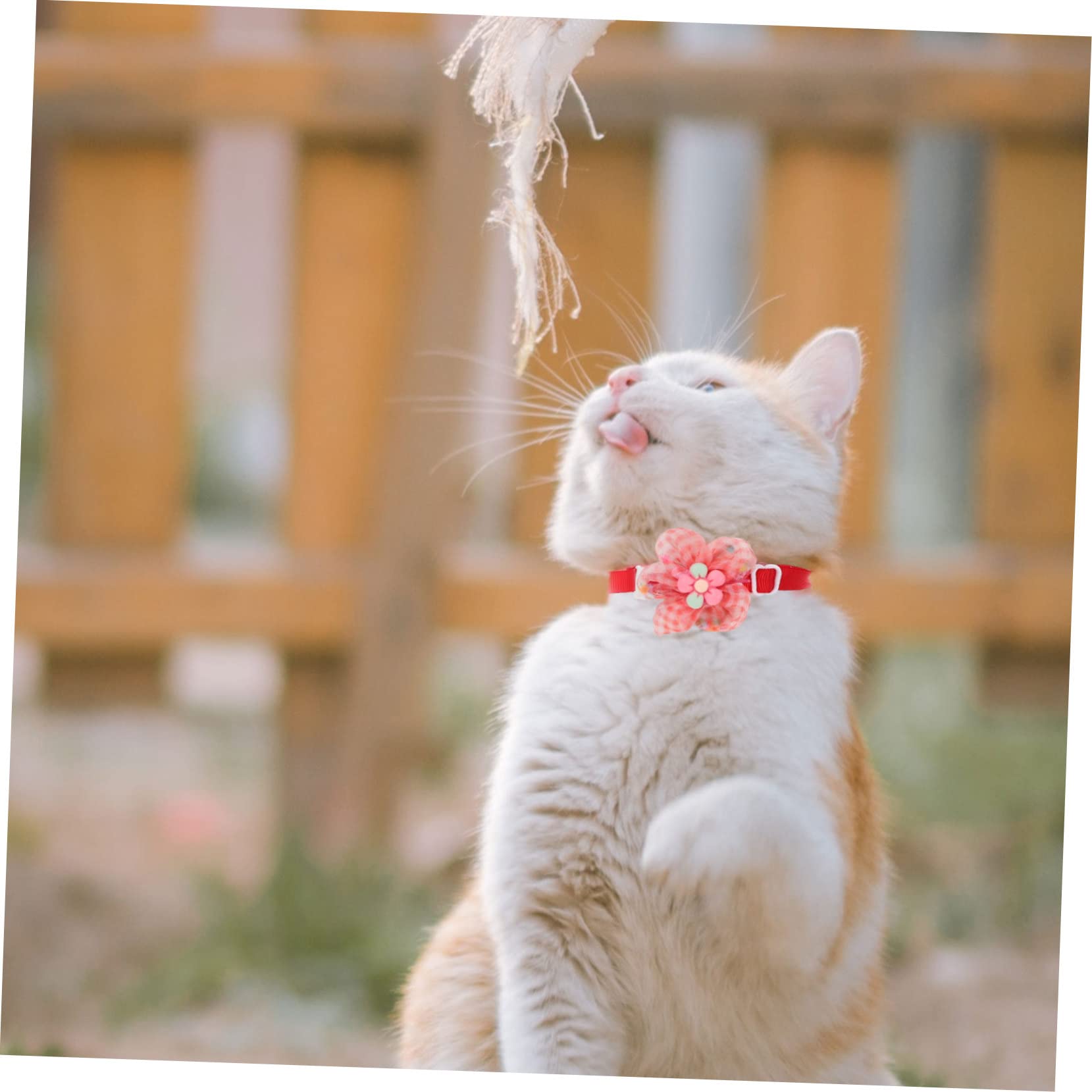 Yardwe 30pièces Collier pour Animaux De Compagnie avec Accessoires De Fête pour Et Chiens De Petite