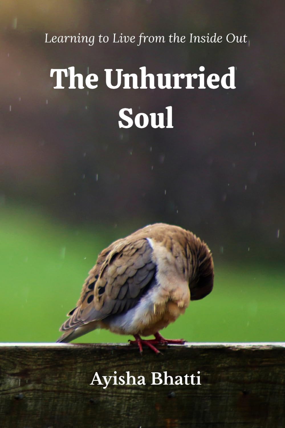 The Unhurried Soul: Learning to Live from the Inside Out