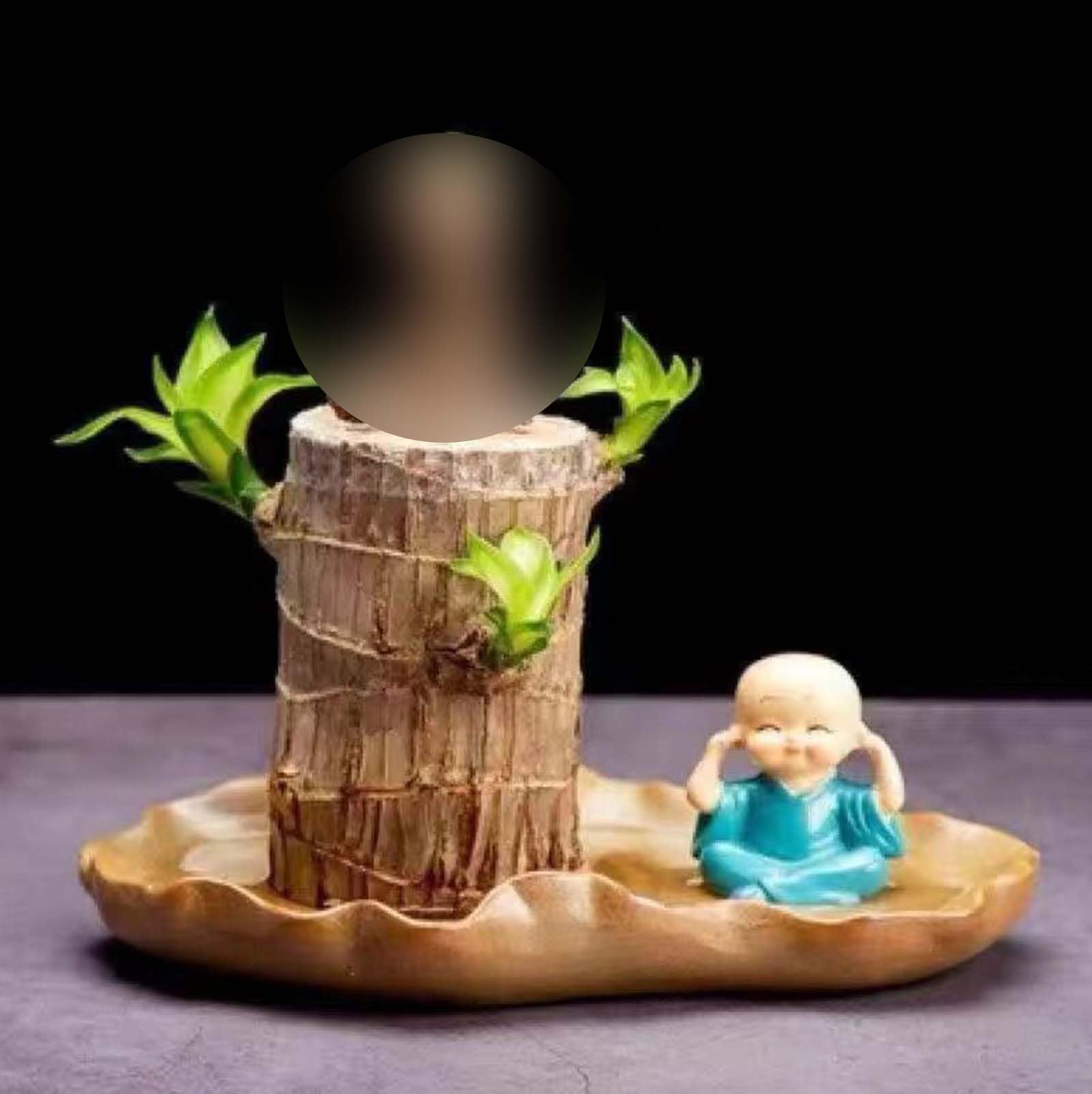 Lucky Brazil Wood Potted Plant Tree Stump Desktop Plants 2024 Newly Mini Home Decor (A), White