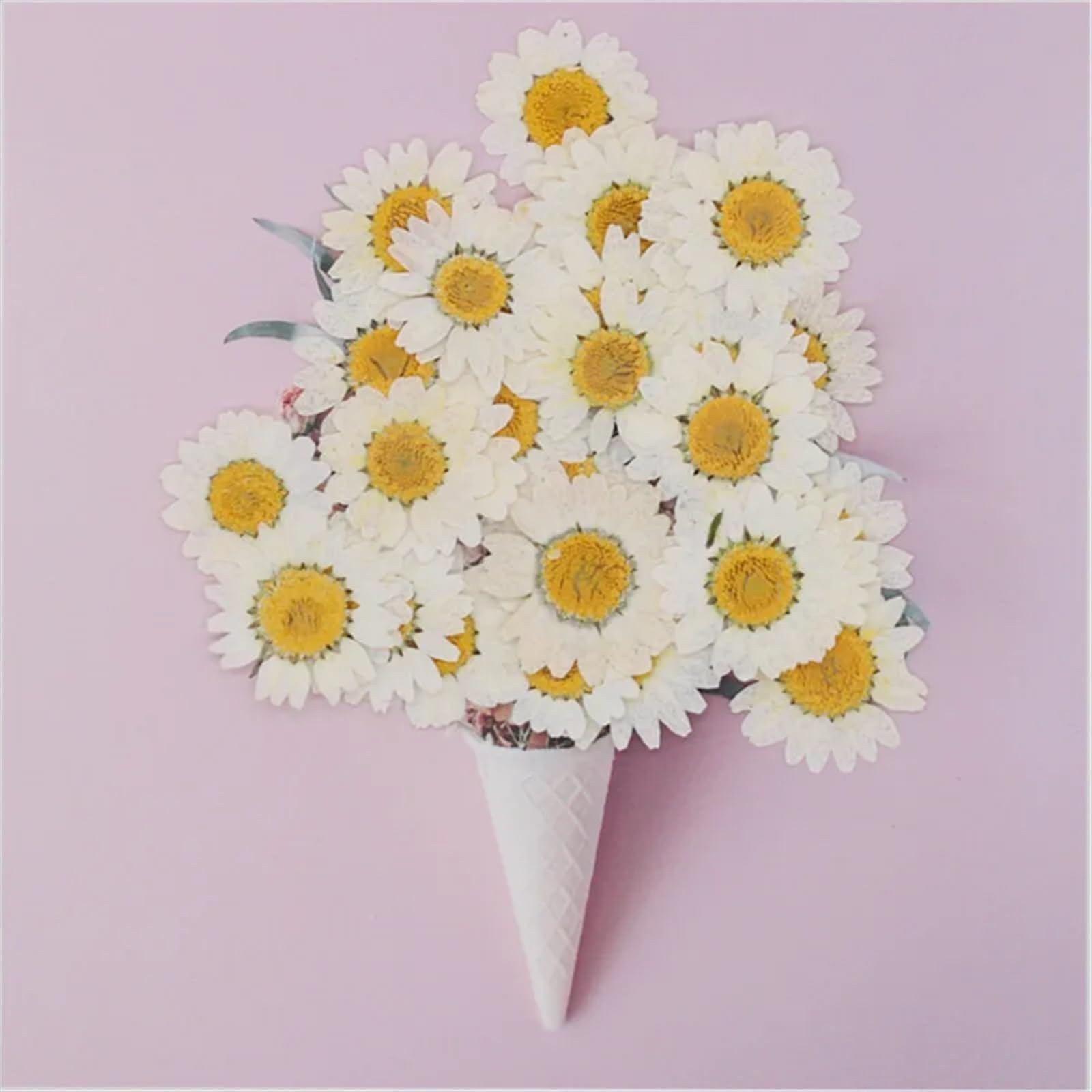 Bouquet Fleurs SéChéEs Lot de 100 Fleurs pressées séchées Naturelles à Faire soi-même, Marguerite Blanche, for Bijoux en résine, Autocollants for Ongles, Maquillage, Artisanat