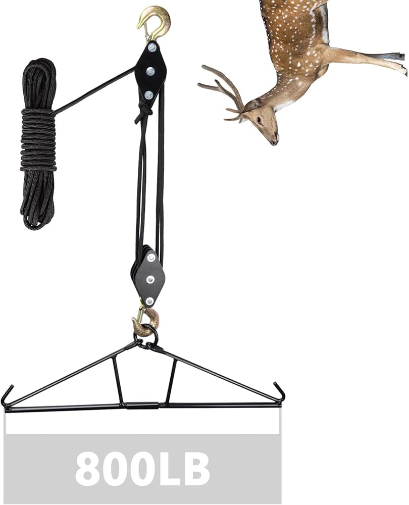 hanging The Best Hanging Plants in 2024 + How and Where to Hang Them