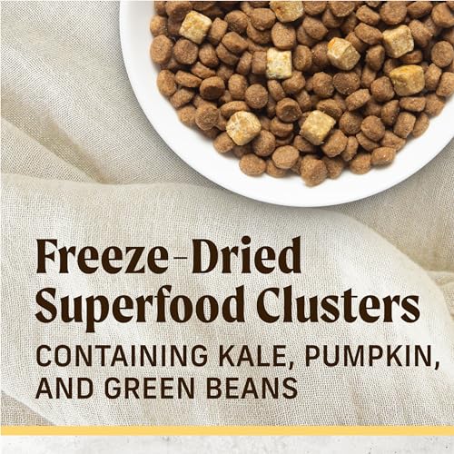 Merrick Immune Well being Recipe, Wholesome Grains Rooster Dry Canine Meals with Freeze-Dried Clusters with Superfoods – 20 lb. Bag Merrick Immune Well being Recipe, Wholesome Grains Rooster Dry Canine Meals with Freeze-Dried Clusters with Superfoods – 20 lb. Bag