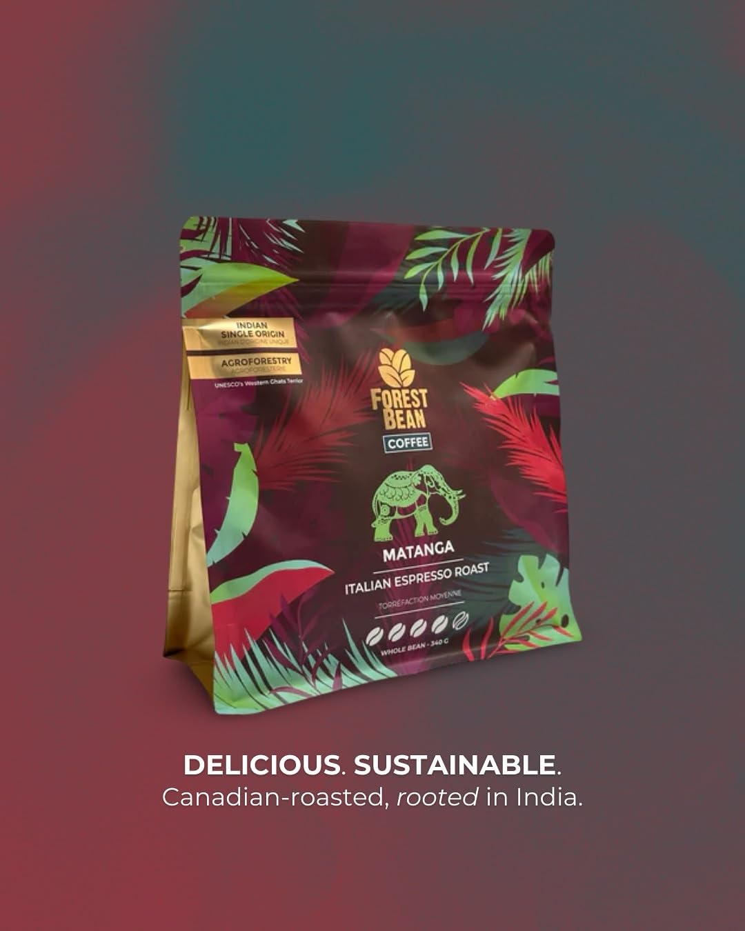 Forest Bean Matanga Coffee, 100% Arabica, Single-Origin Indian, Italian Espresso Roast, 340g Whole Bean Bag