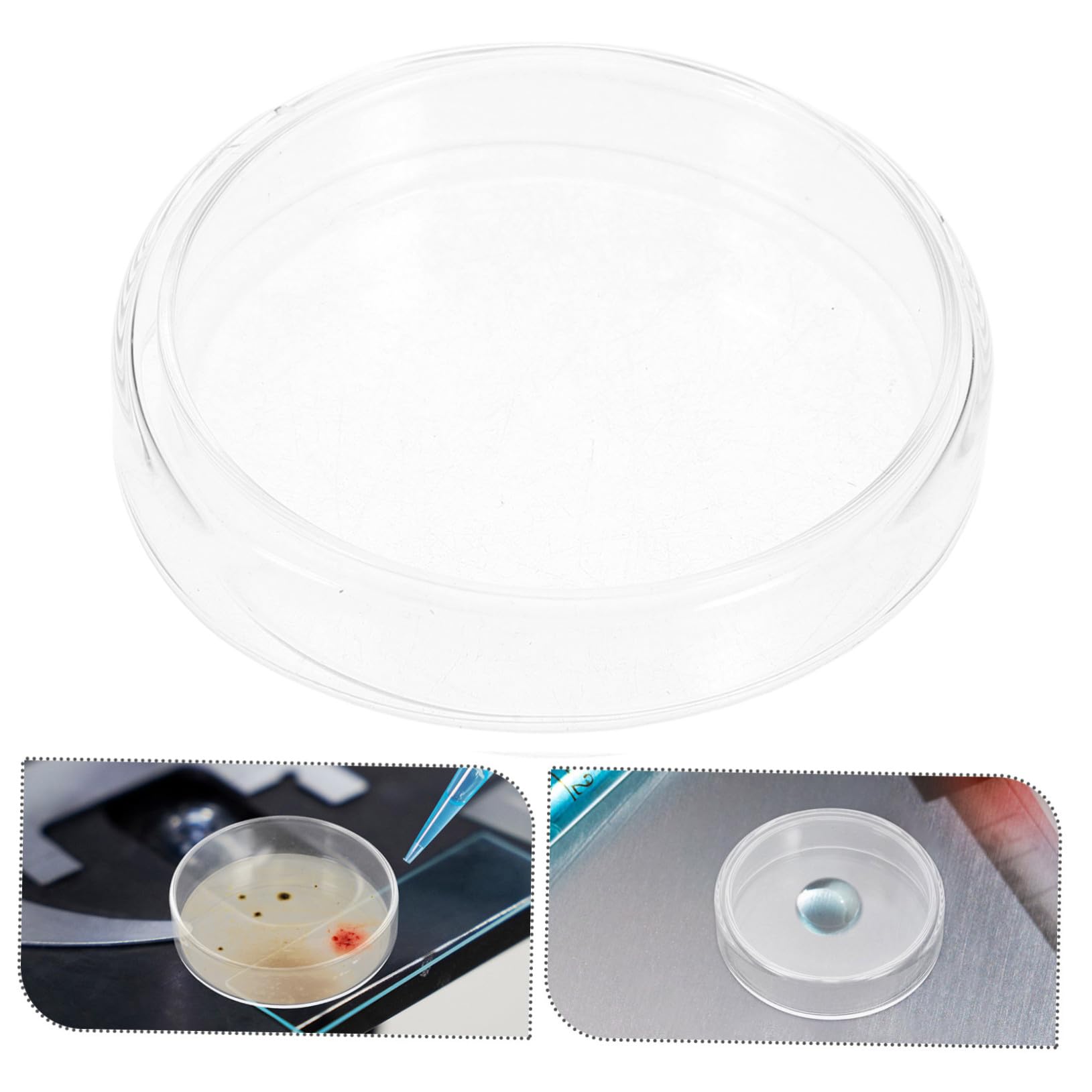 SHINEOFI 10stücke Petrischalen mit Deckel aus Glas für Labor und Mikrobiologische Anwendungen Sterile Nähragar-platten für Experimente und Kultivierung