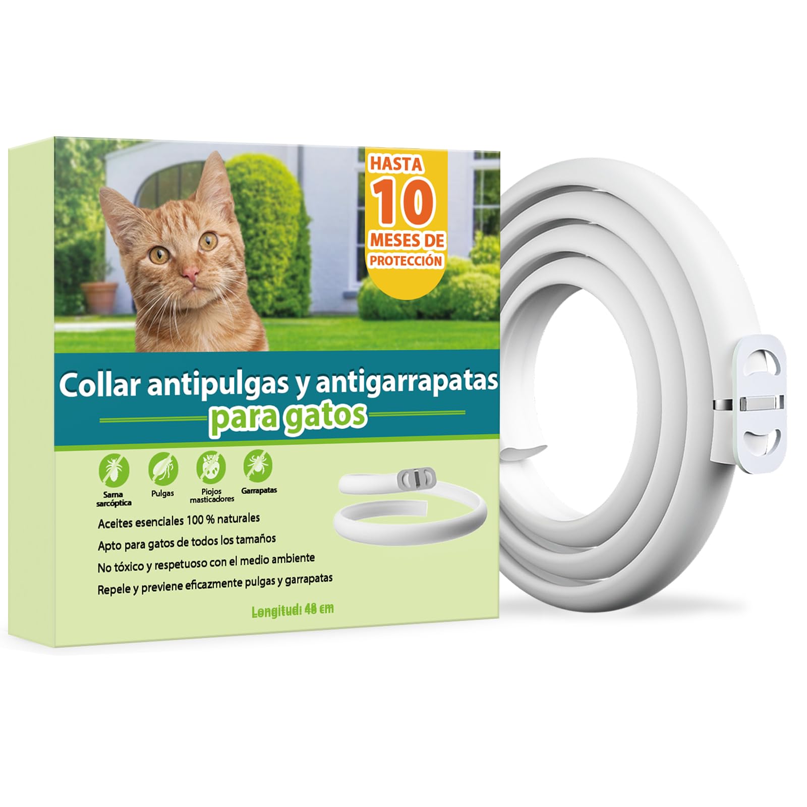 Collar Antiparasitario para Gatos, Collar Antipulgas y Garrapatas Ajustable, Gregado con Aceites Naturales, Impermeable, Apto para Todos Los Gatos,10 Meses de Protección