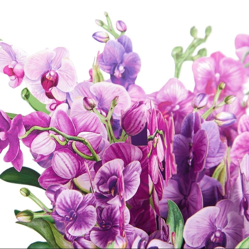 Carte de vœux Fleur Pop-up 3D avec enveloppe Cadeaux Surprise