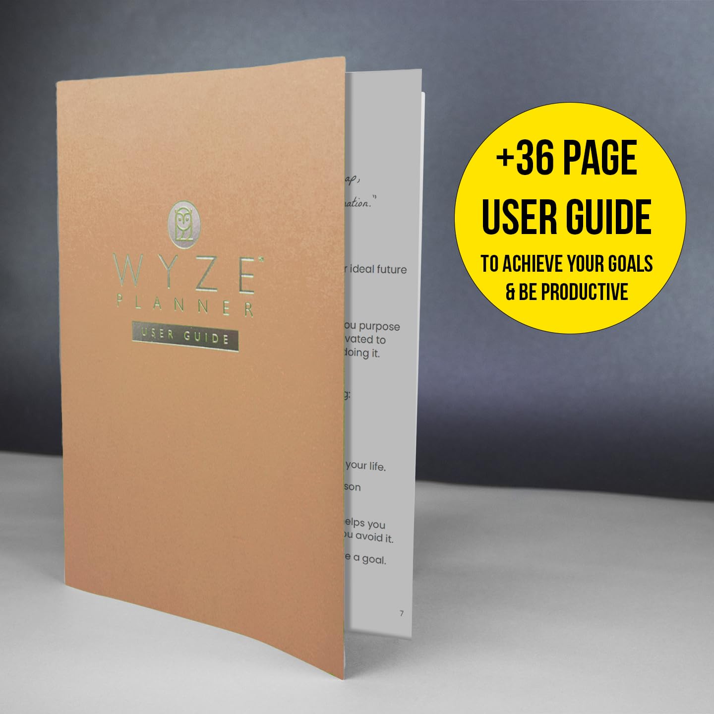 Wyze Planner Agenda giornaliera non datata, organizer per la produttività di 3 mesi, formato A5, con pagina intera al giorno, programma orario, impostazione obiettivi, tracker abitudini, pagine