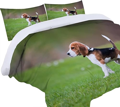 Miniatura 3 de Juego de funda de edredón tamaño King con estampado de perrito de Beagle verde, funda de edredón de microfibra suave y 2 fundas de almohada de 20 x