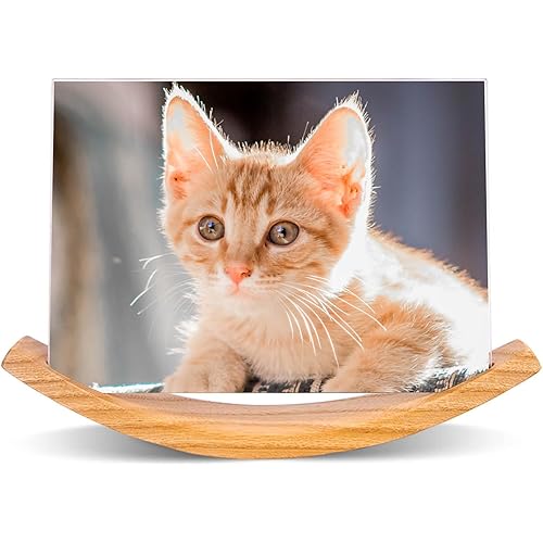 BESTRADE 5x7 Rectangular Picture Frames Landscape Picture Frame 4x6 or 5x7,Rustic Wooden Photo Frames with Solid Wood & Frameless Acrylic Cover for Home Tabletop Decorative (Natural Wood Grain)