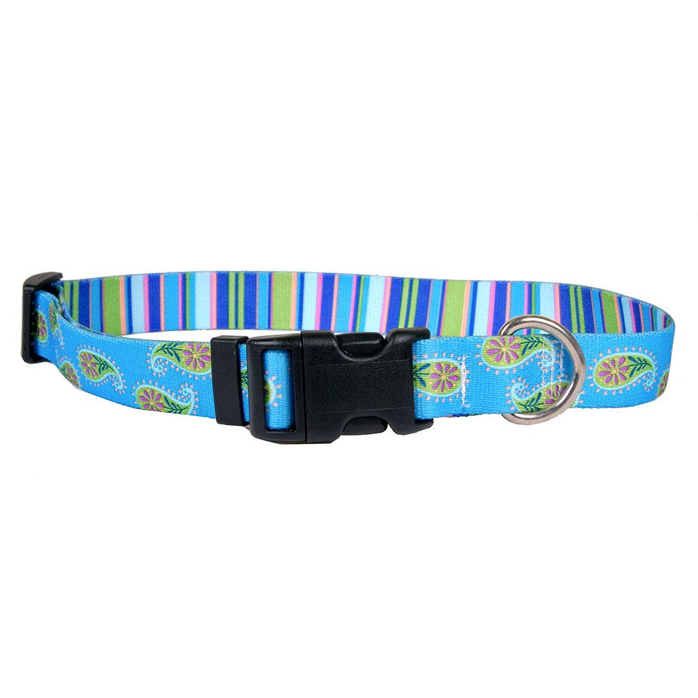 Yellow Dog Design Standard Easy-Snap Collar, Blue Paisley, Teacup 4