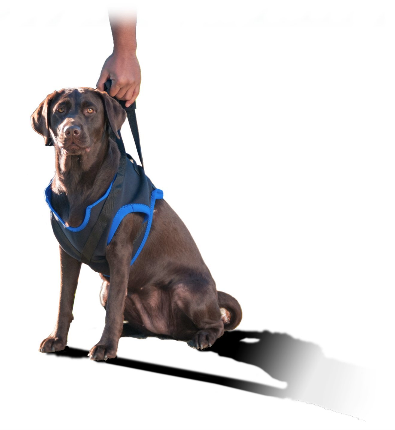 WALKABOUT Front Harness (XLarge 33-42