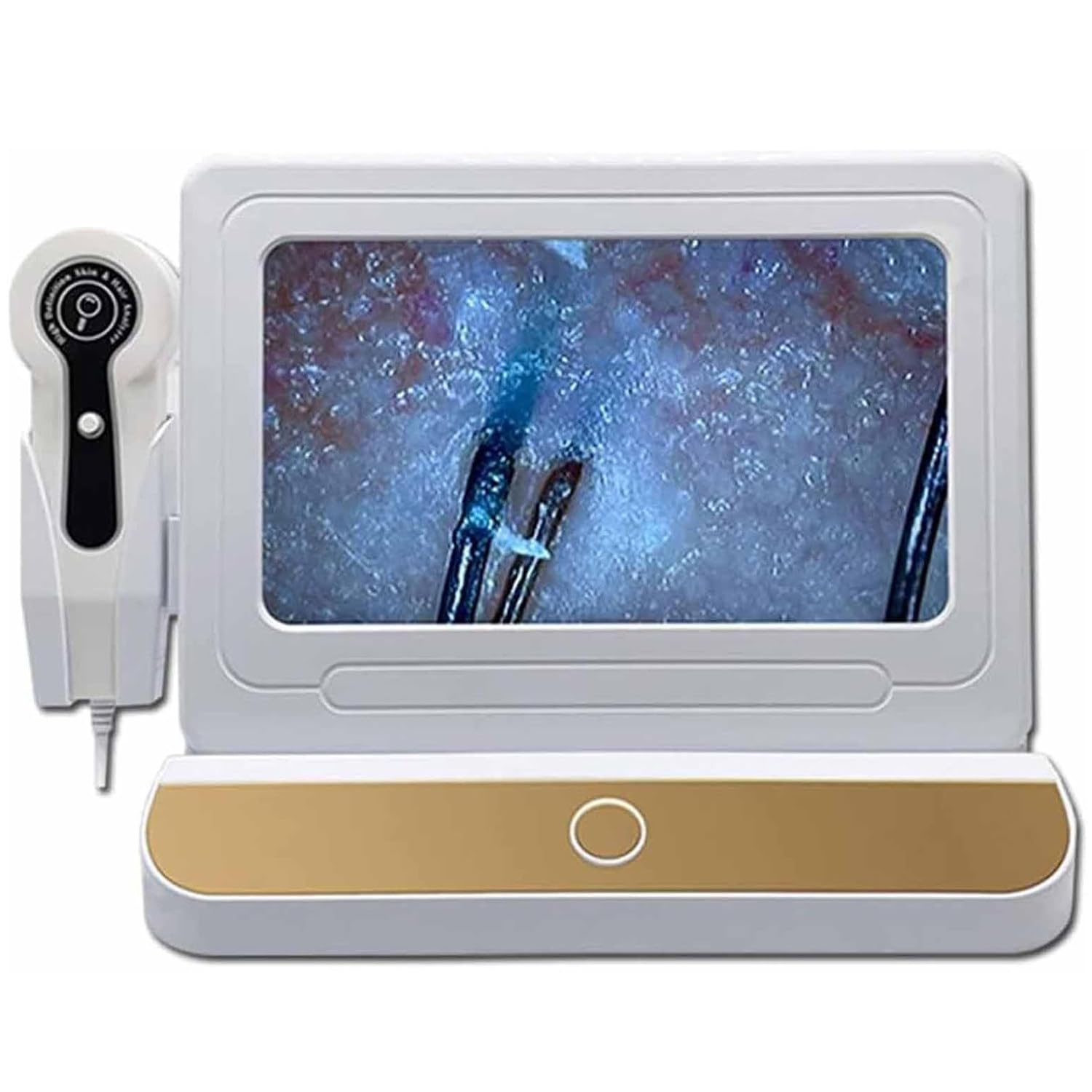 Analizzatore di Pelle e Capelli con Schermo LCD HD 10 Pollici, Rilevatore del Cuoio Capelluto e Follicolo Pilifero, Doppio Zoom 50X/200X, 10 Milioni di Pixel, Portatile e Professionale Gold