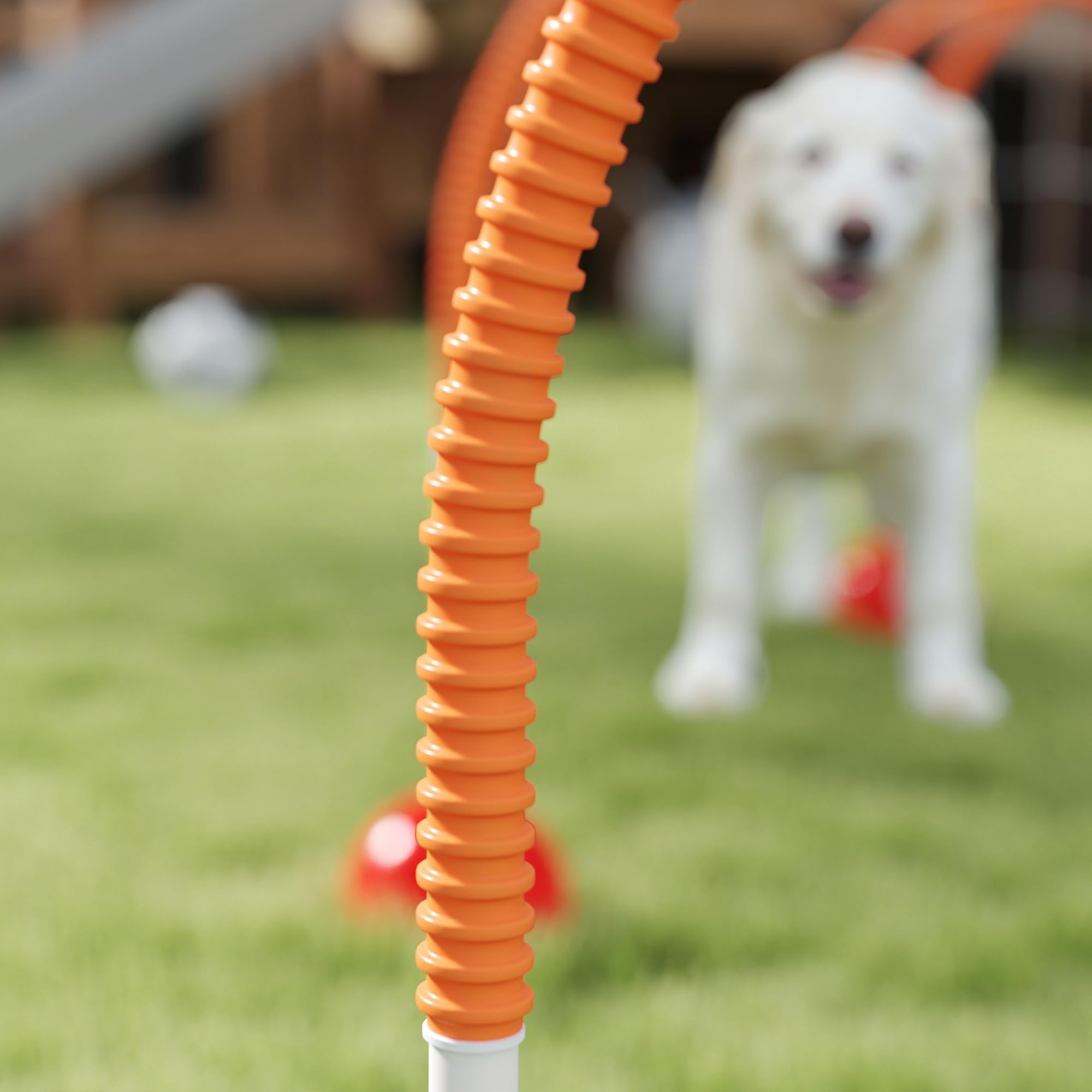 PawHut Kit d'équipement d'agilité pour Chien, kit d'agilité pour Chien avec 4 Portes à Largeur réglable, Sac de Transport, Assemblage Facile, Agility à Chien Portable, Jaune et Orange