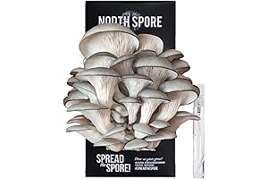 North Spore Organic Blue Oyster Mushroom Spray & Grow Kit: Help Your...