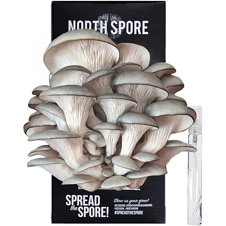 North Spore Organic Blue Oyster Mushroom Spray & Grow Kit: Help Your...