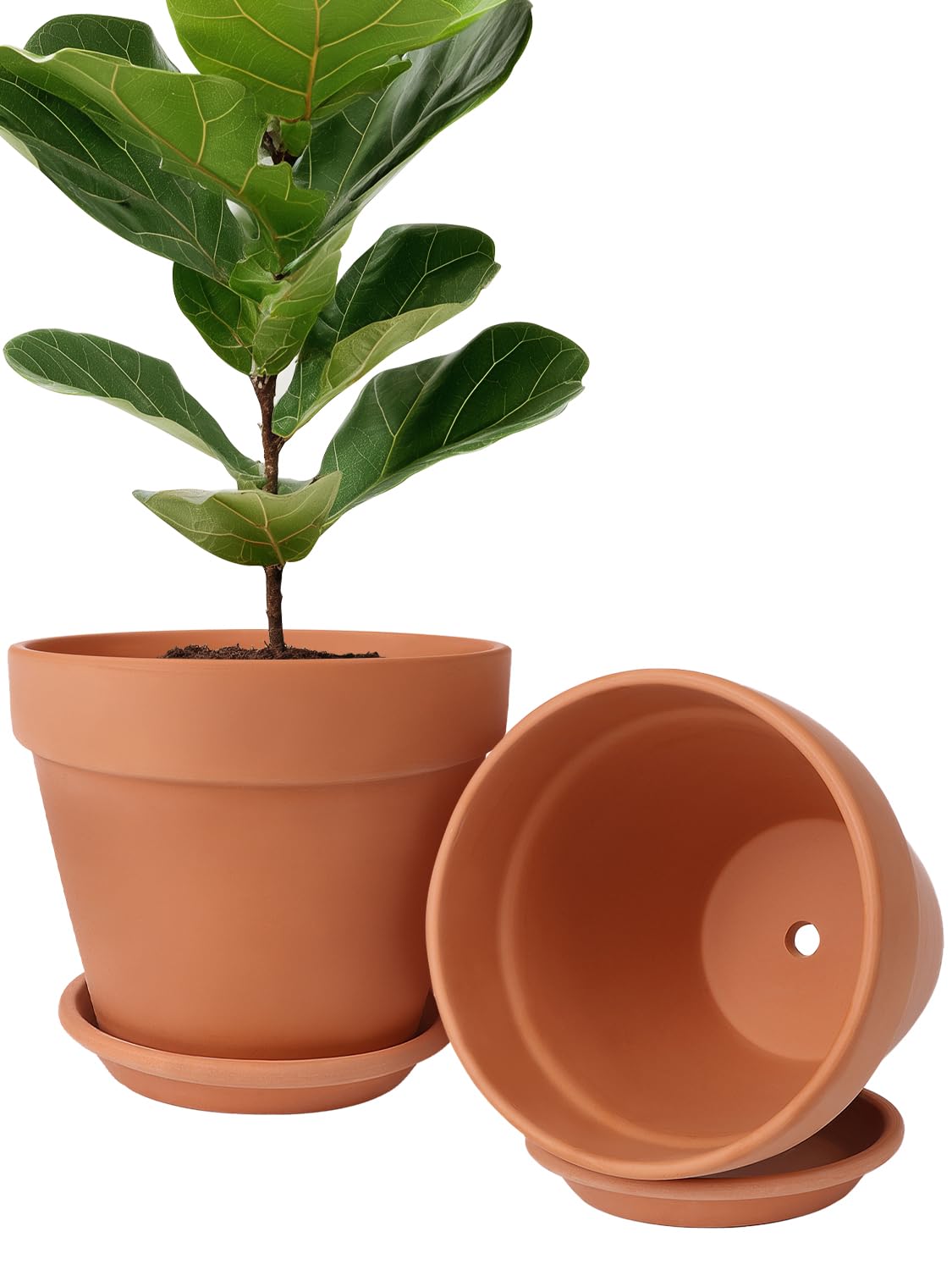 INGOFIN Terracotta Pot Set