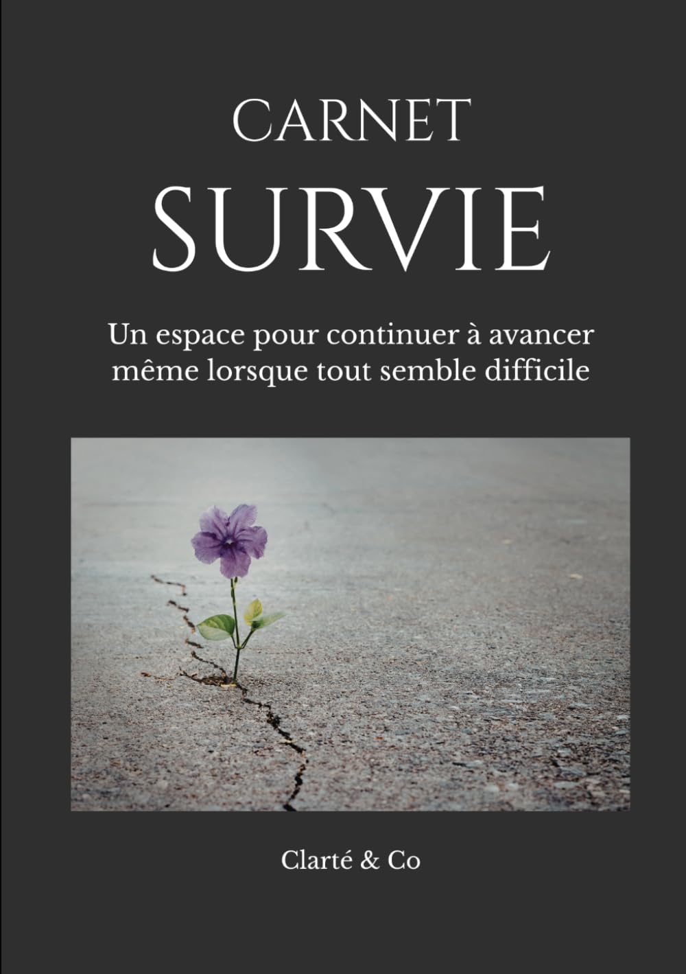 Carnet Survie: Un espace pour continuer à avancer même lorsque tout semble difficile (Carnets Clarté & Co)