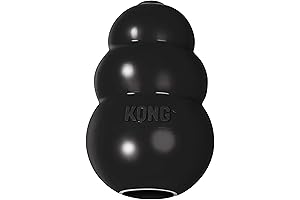 KONG Extreme Power Dash Pet Toy