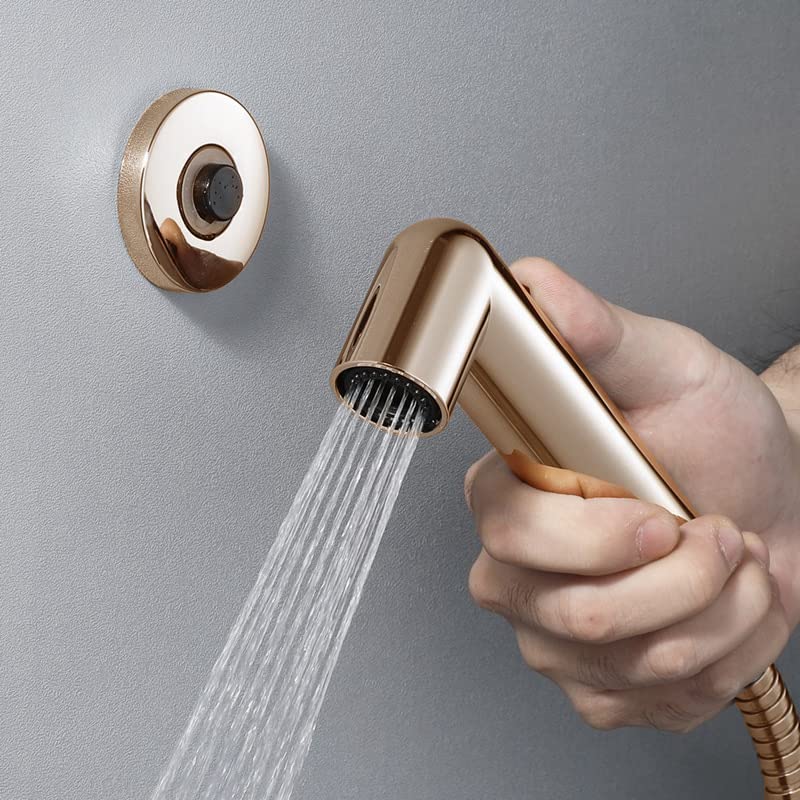 Fossa Magnetic Health Faucet/Bidet Sprayer for Toilet and Bathroom with 1 Mtr Hose Pipe and Magnet Holder (Gold) (B0BBQVZXCS) Amazon Price History, Amazon Price Tracker