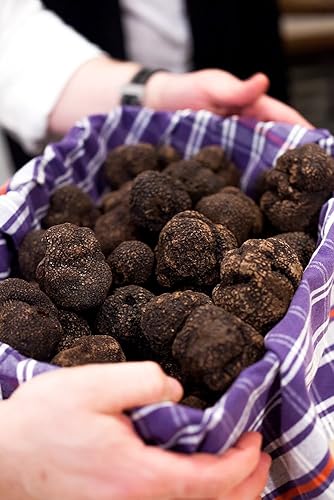 Miniatura 2 de Trufas frescas de invierno negro australiano (Tuber melanosporum) de Urbani Truffles. 1 onza.