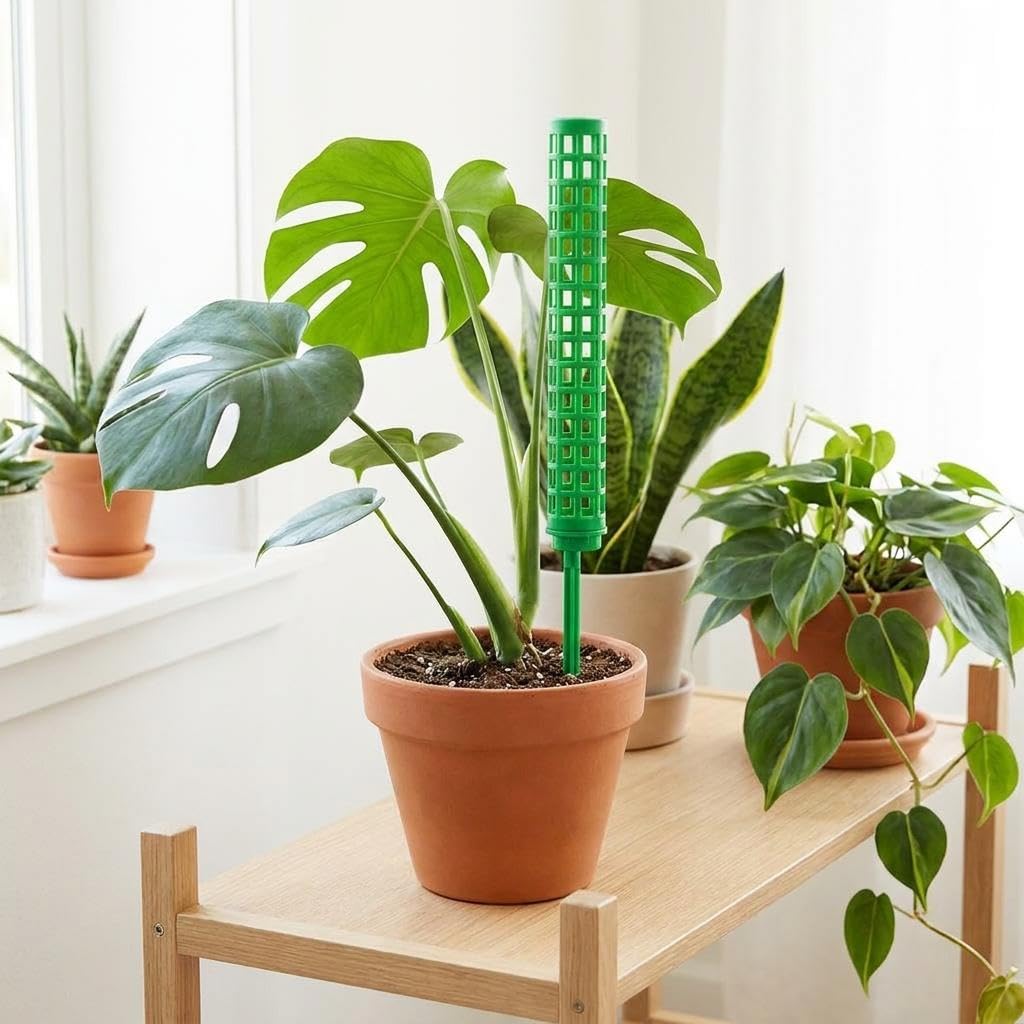 Monstera Plant Support Pole, Stackable Plant Pole for Climbing Plants Material for Indoor/Outdoor Vertical Growth White White-image-44