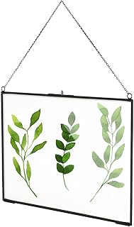 TLBTEK 12x8 Inch Black Horizontal Picture Frames, Brass Hanging Double Glass Frame for Pressed Flowers, Clear DIY Vintage Artwork Display Frame Wall Mounted Photos