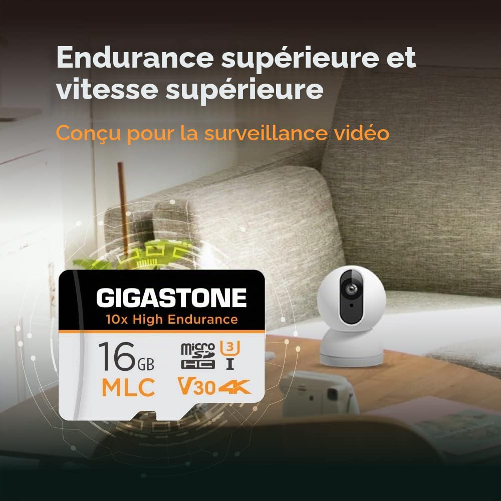 [10x Haute Endurance] GIGASTONE Industriel MLC Carte Mémoire 16 Go, Lot de 10 Cartes, pour Caméra de Surveillance, Dashcam, 4K Vidéo, Vitesse 95 Mo/s, U3 V30 [5 Ans Récupération de données Gratuite]